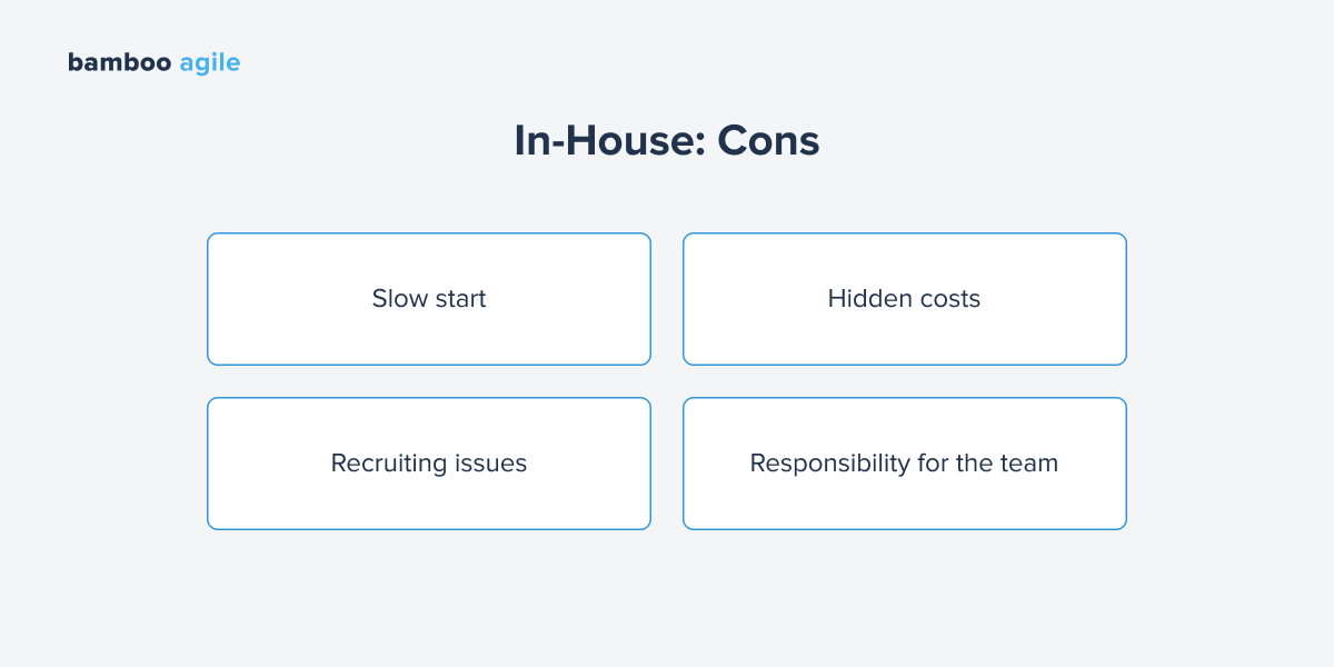 In-House Software Development: Cons