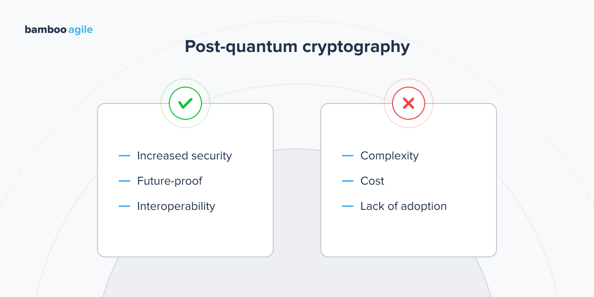 Post-Quantum Cryptography - Pros and Cons