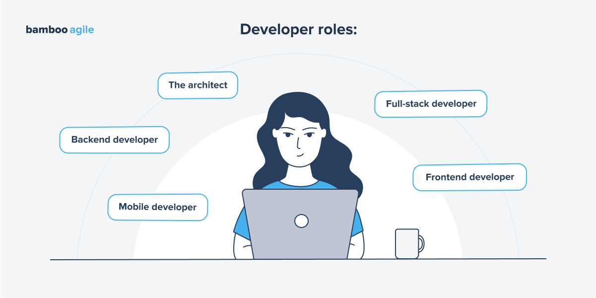Developer roles