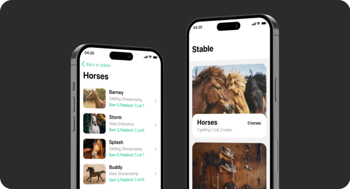 Stable Horse case study