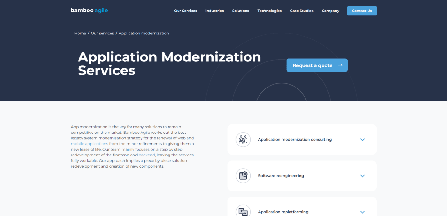 image-2 | Bamboo Agile | Custom Software Development Company