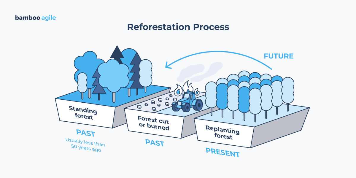 what is climate tech