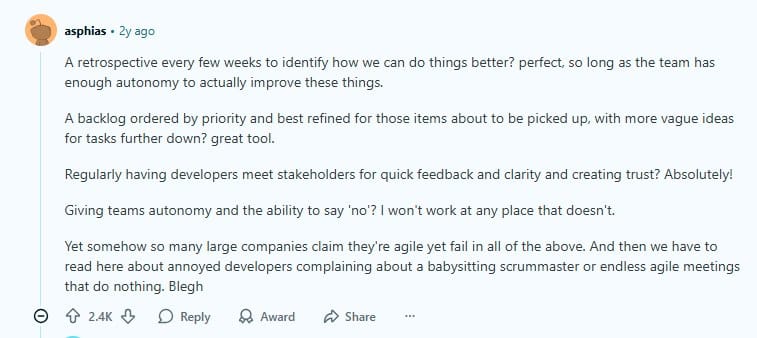 Screenshot of a Reddit comment discussing Agile practices, team autonomy, retrospectives, and common issues in large companies